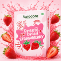 Freeze Dried Strawberry slices