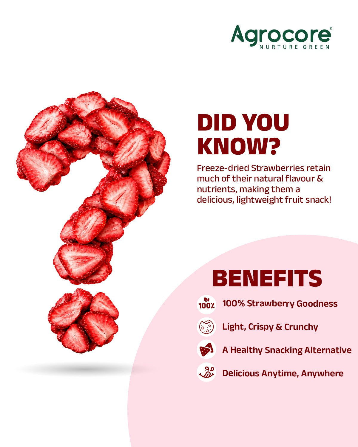 Freeze Dried Strawberry slices