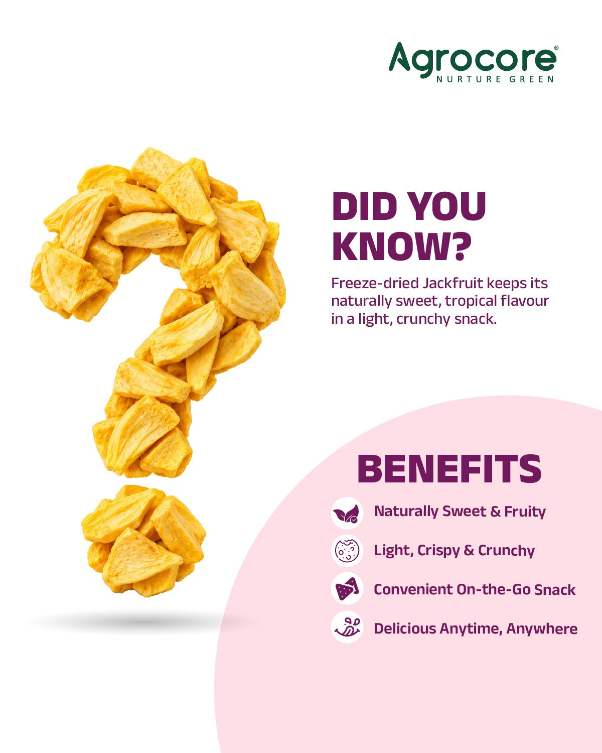 Freeze Dried Jackfruit chips