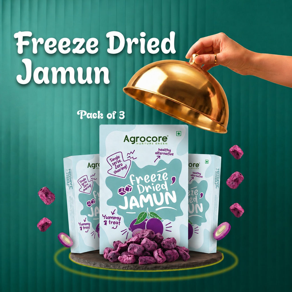 Freeze Dried Jamun Cubes – Pack of 3