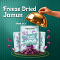 Freeze Dried Jamun Cubes – Pack of 3