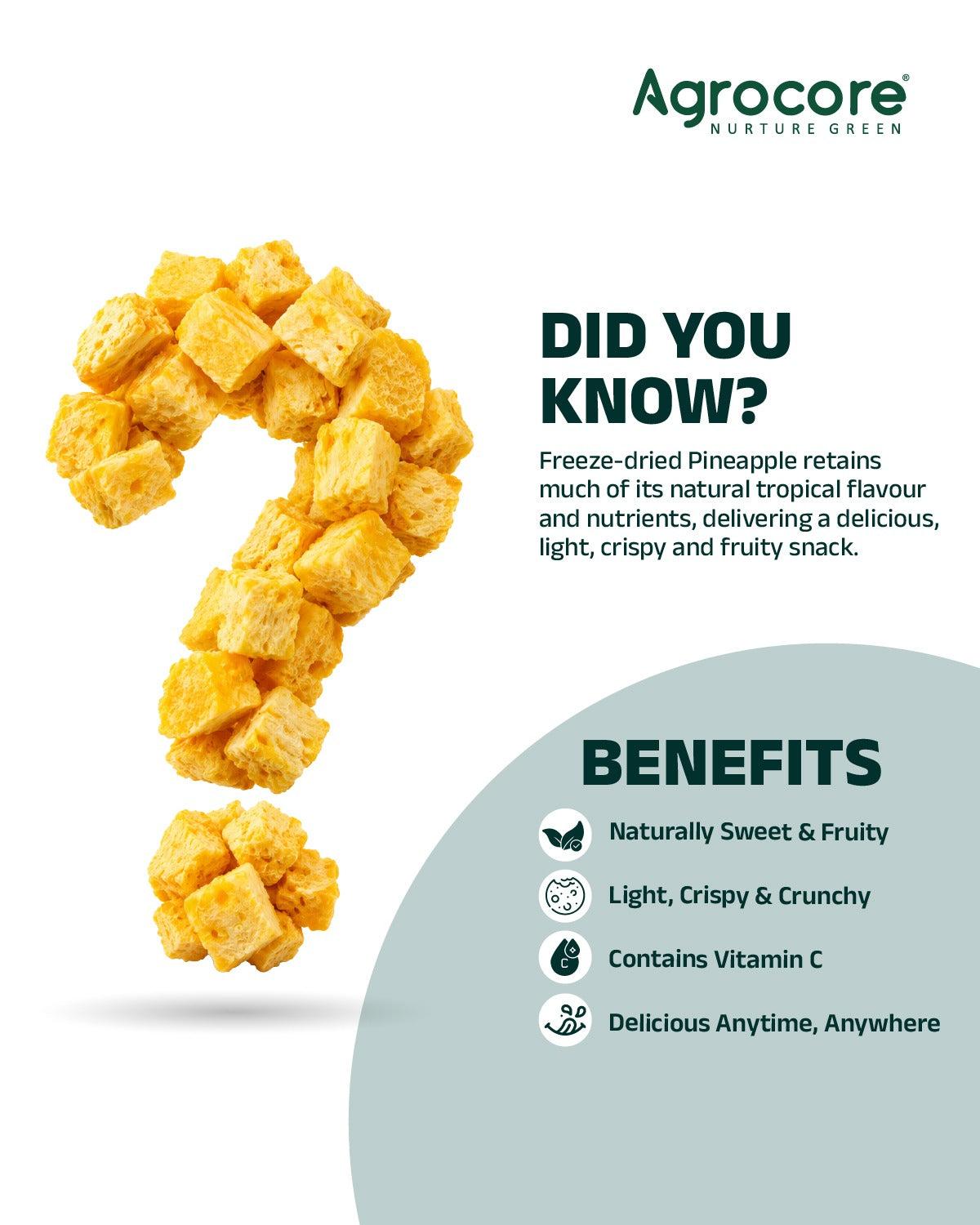 Freeze Dried Pineapple cubes