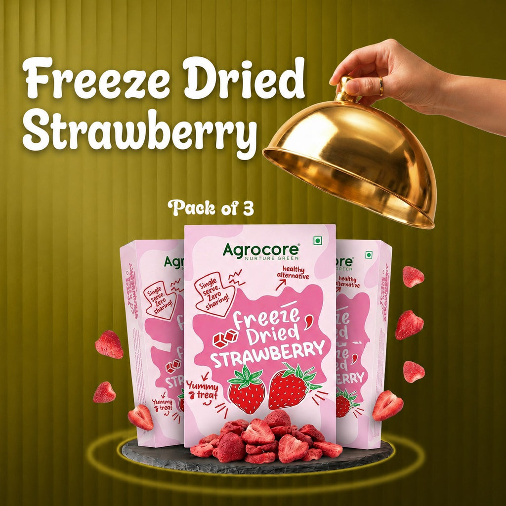 Freeze Dried Strawberry Slices – Pack of 3