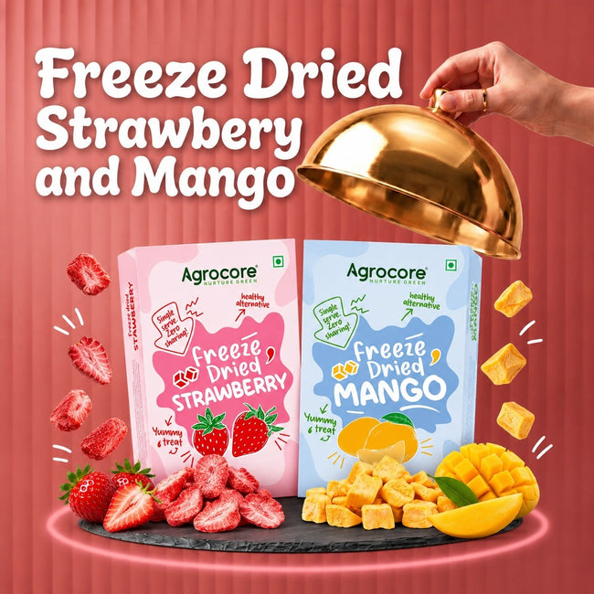 Freeze Dried Strawberry and Mango Combo (20g)