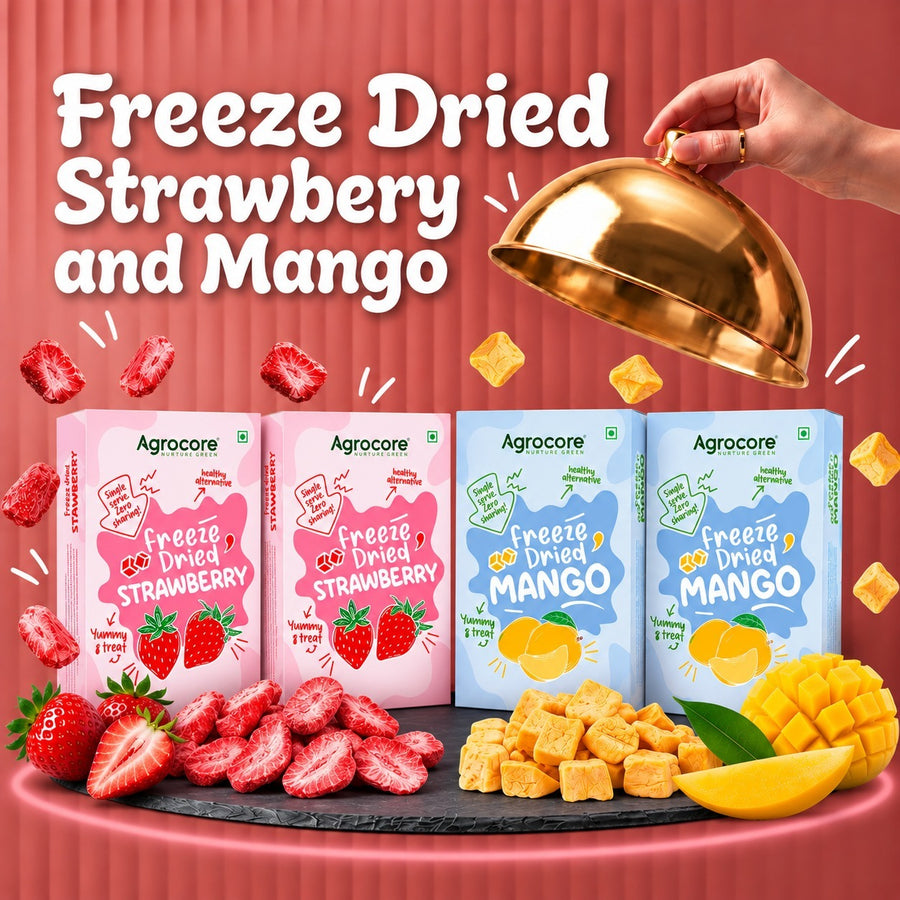 Freeze-Dried Mango & Strawberry Multipack – 40g
