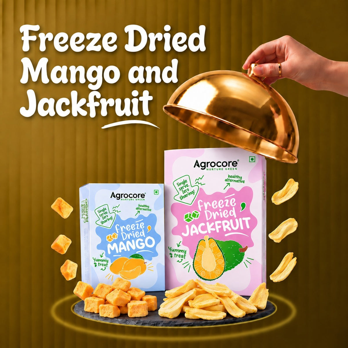 Freeze-Dried Jackfruit Chips & Mango Cubes Combo – 30g