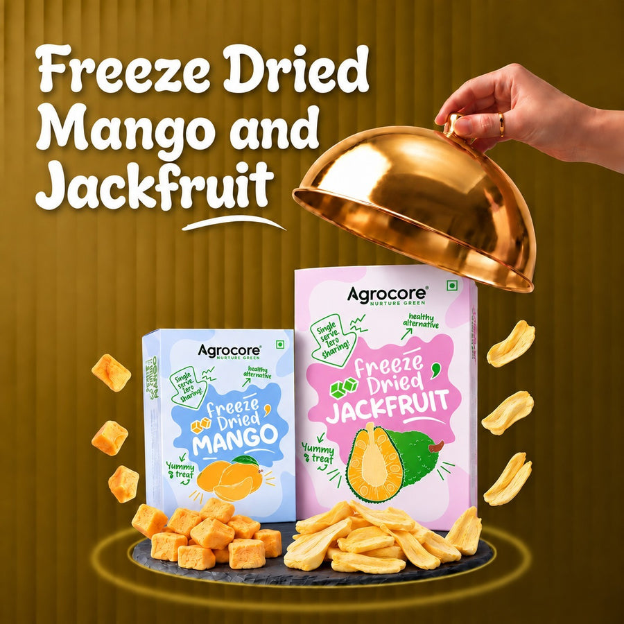Freeze-Dried Jackfruit Chips & Mango Cubes Combo – 30g