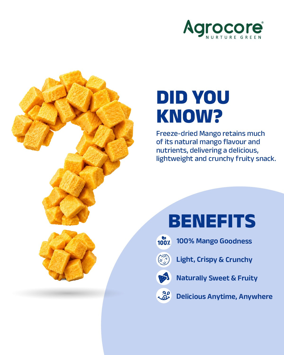 Freeze Dried Mango cubes